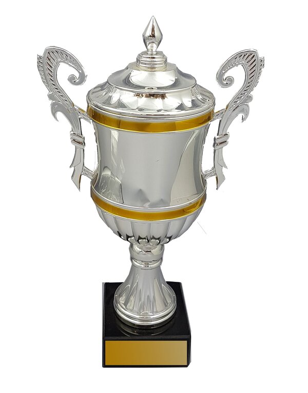 Silver with Gold Trim Cup